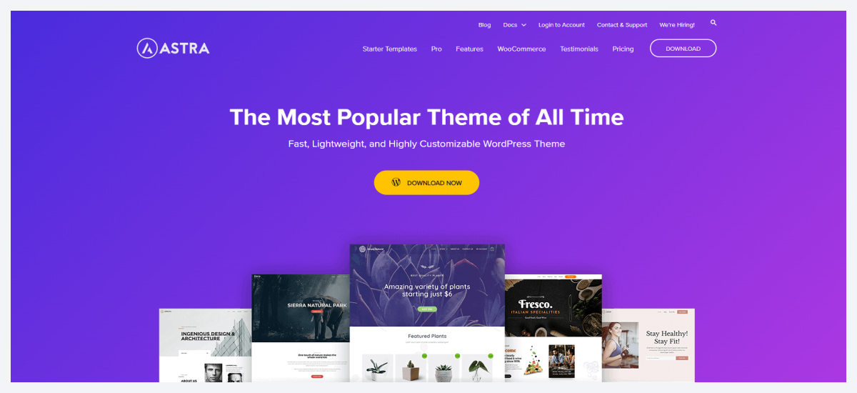 astra wordpress themes