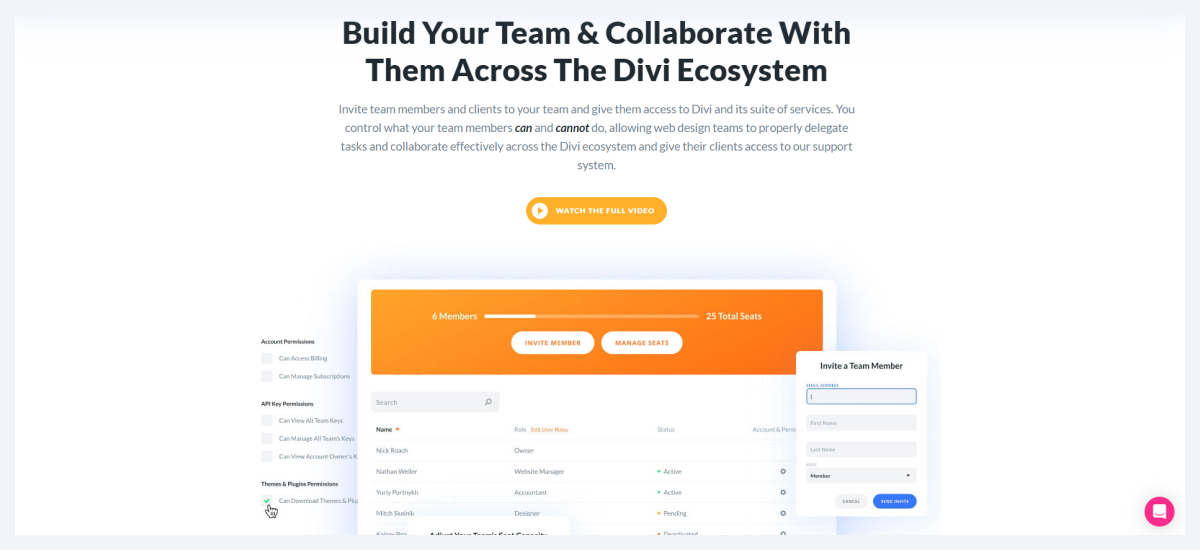 divi wordpress themes