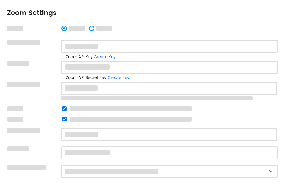 Frontend Zoom Settings Organizer New