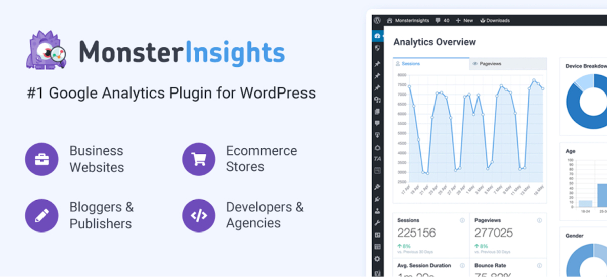 monsterinsights plugin
