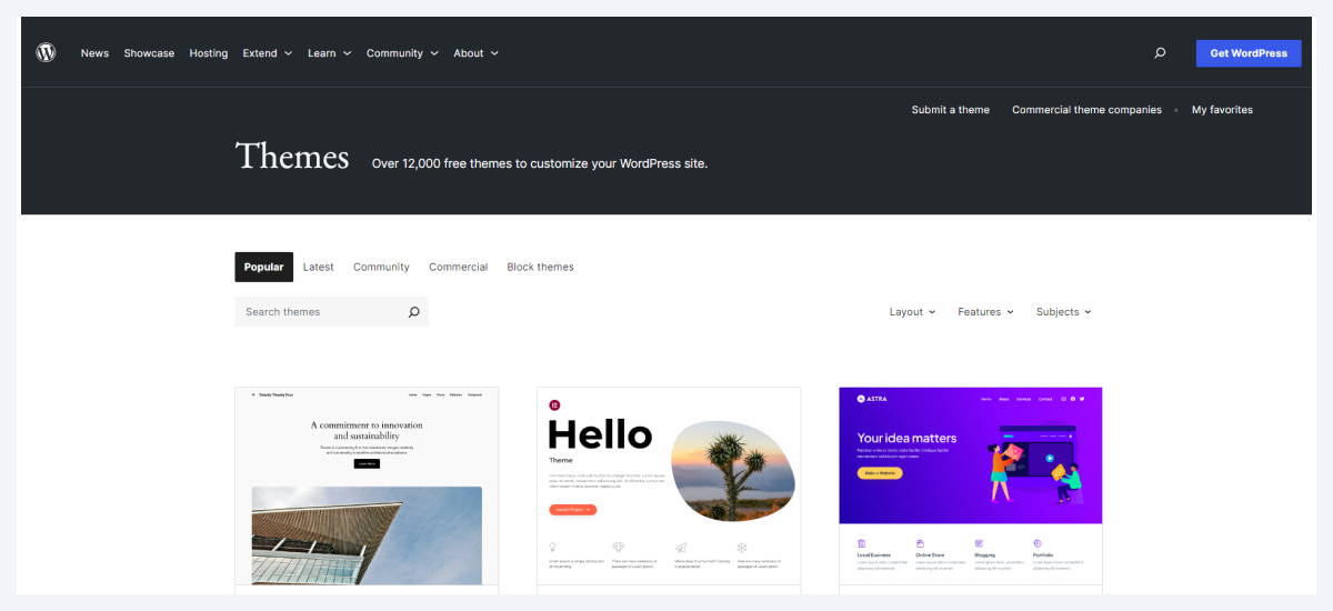 wordpress theme